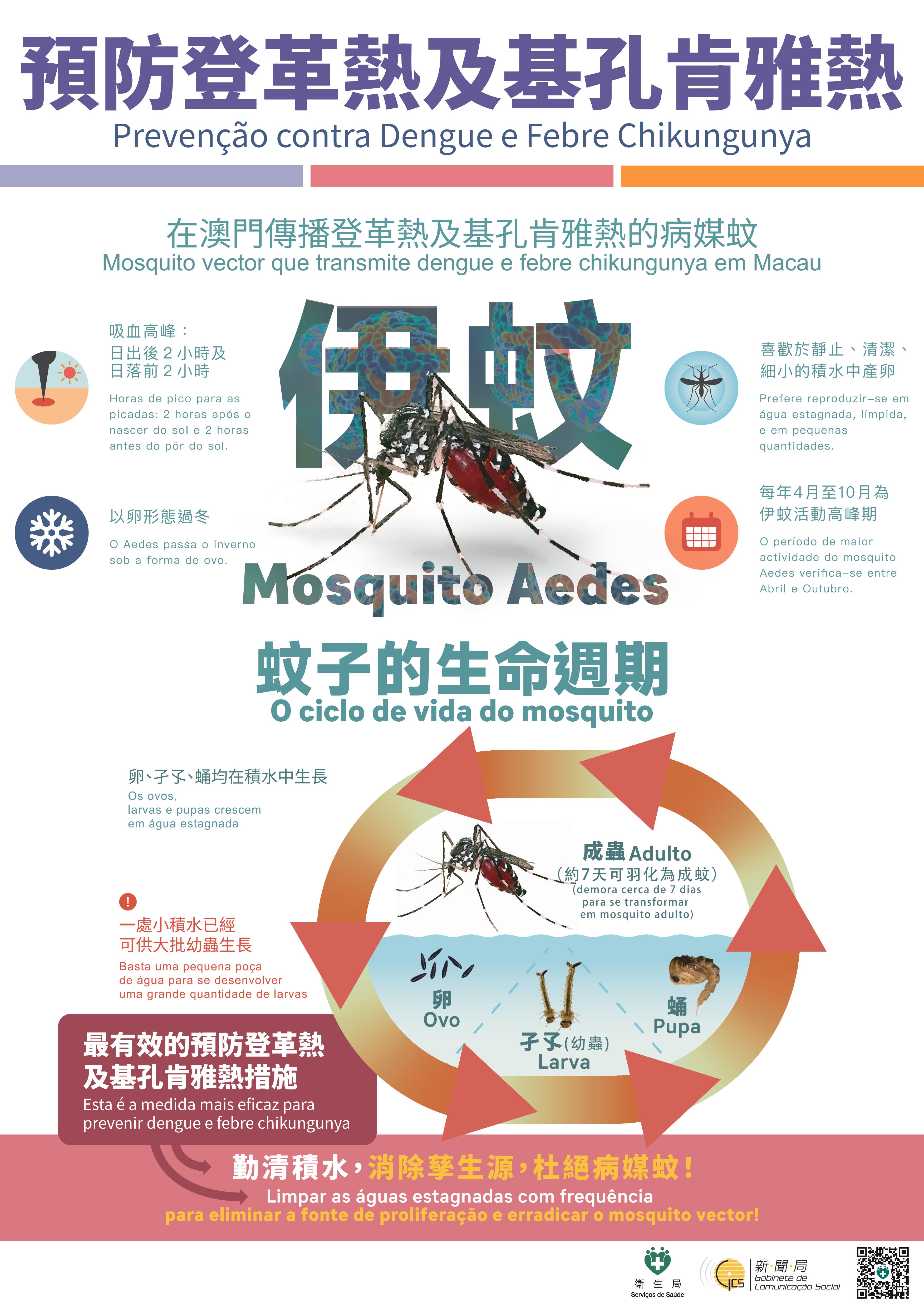 Attachment 預防登革熱及基孔肯雅熱_白紋伊蚊.jpg